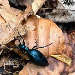 22-04-25 11-34-05 0620